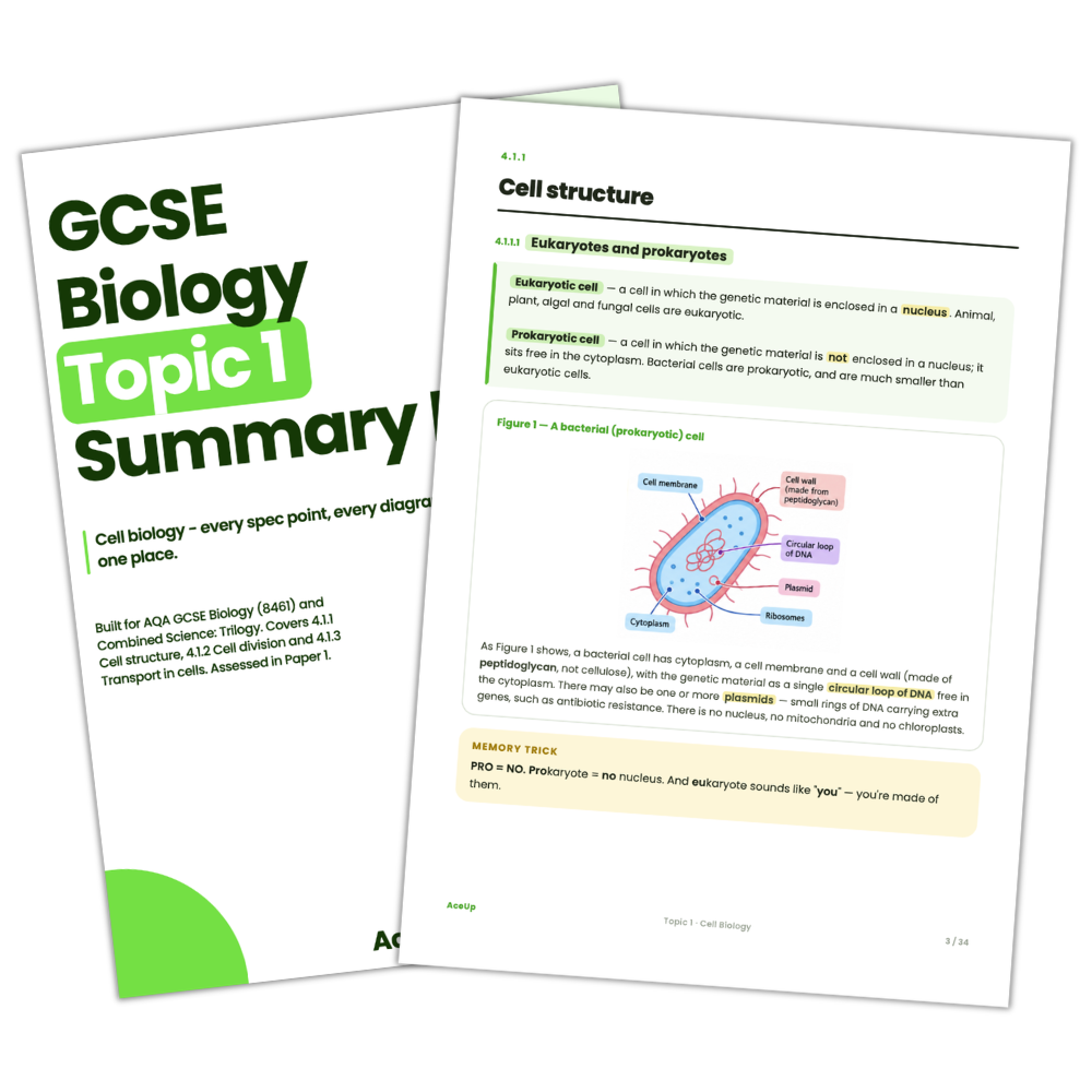 AQA GCSE Biology Topic 1: Cell Biology Summary Notes