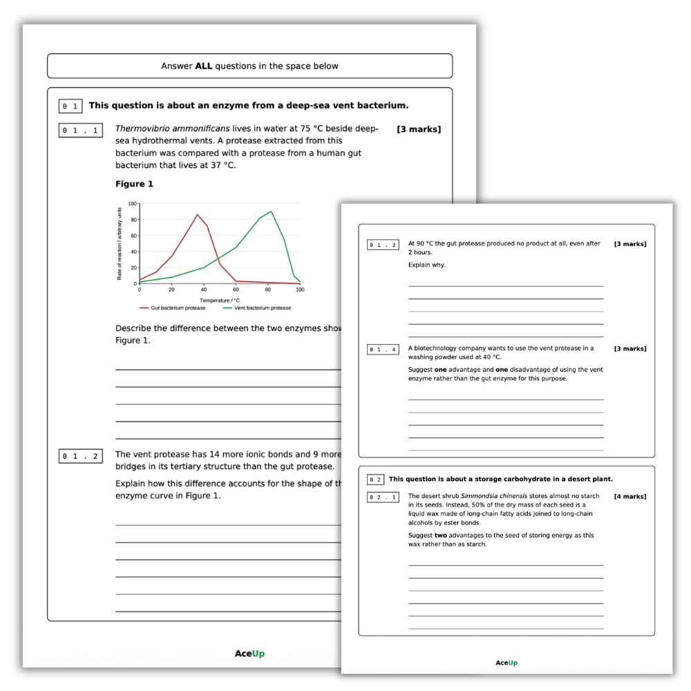 AQA A-level Biology Application Exam Pack