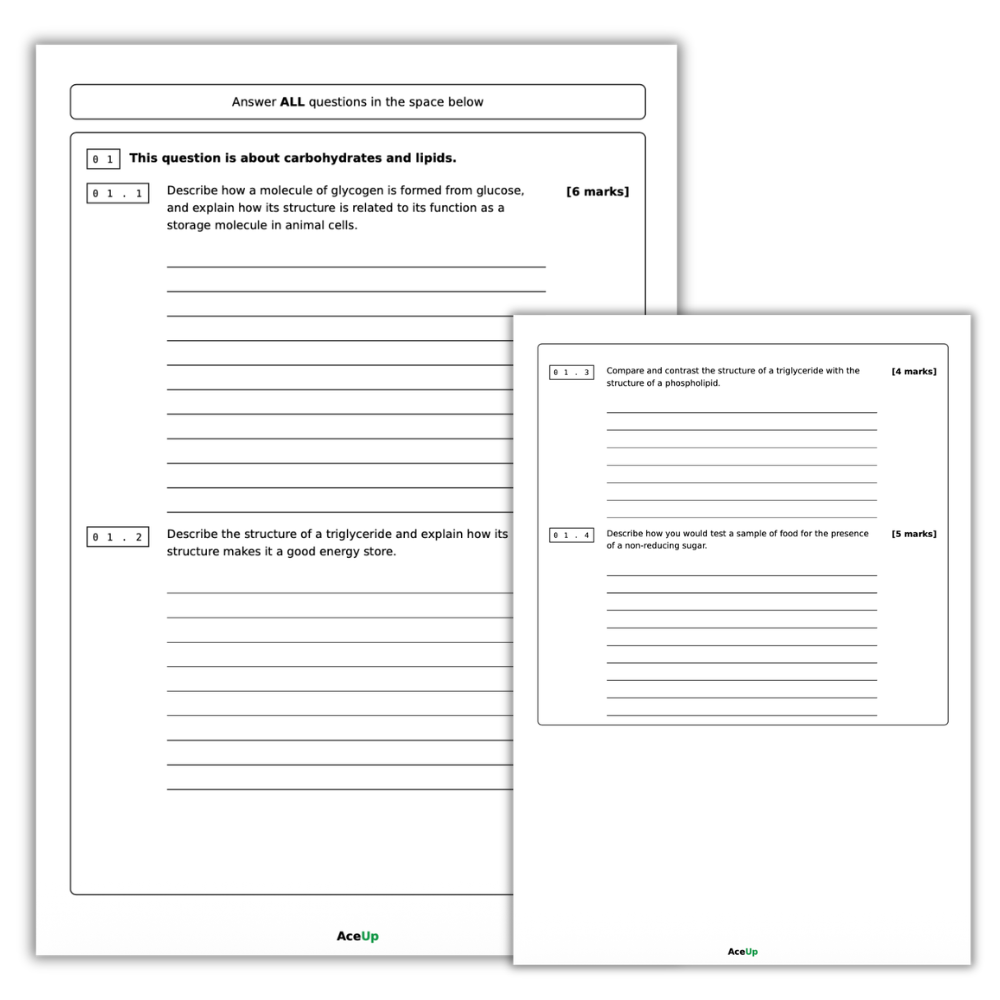 A-level AQA Biology Extended Response Exam Pack