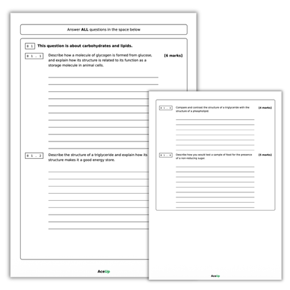 A-level AQA Biology Extended Response Exam Pack