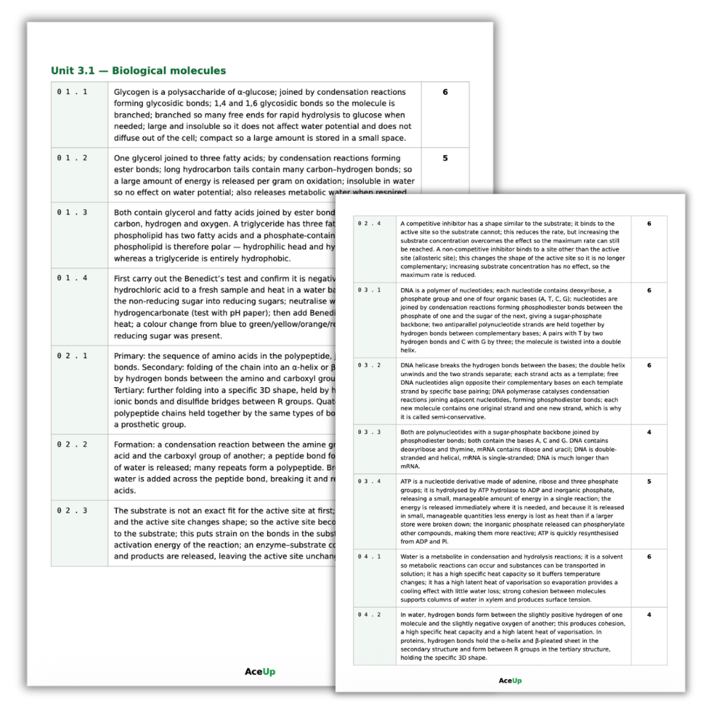 A-level AQA Biology Extended Response Exam Pack