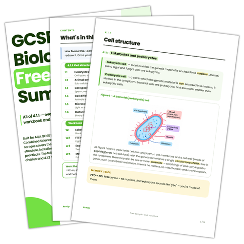 FREE AQA GCSE Biology Summary Notes Sample – Cell Structure