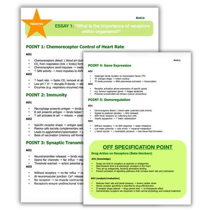 A-level Biology 25 Marker Essay Pack