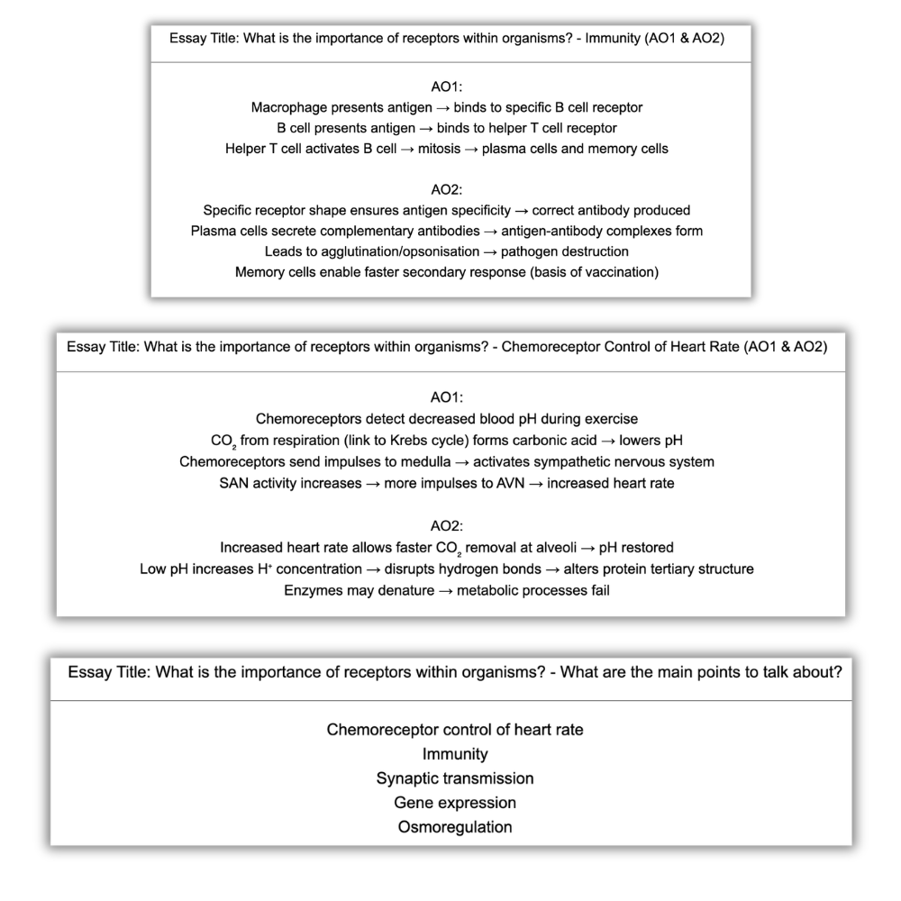 A-Level Biology Ultimate Essay Pack + Flashcards (BUNDLE)