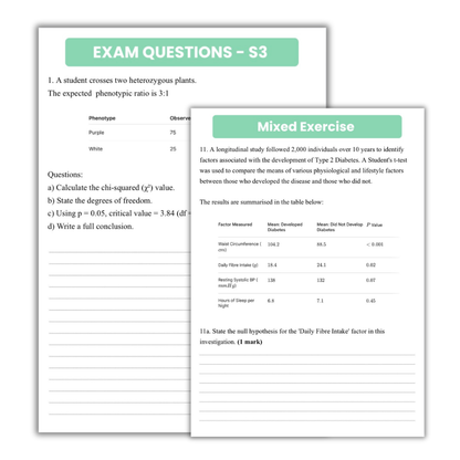 AceUp A-level Half Term Bundle