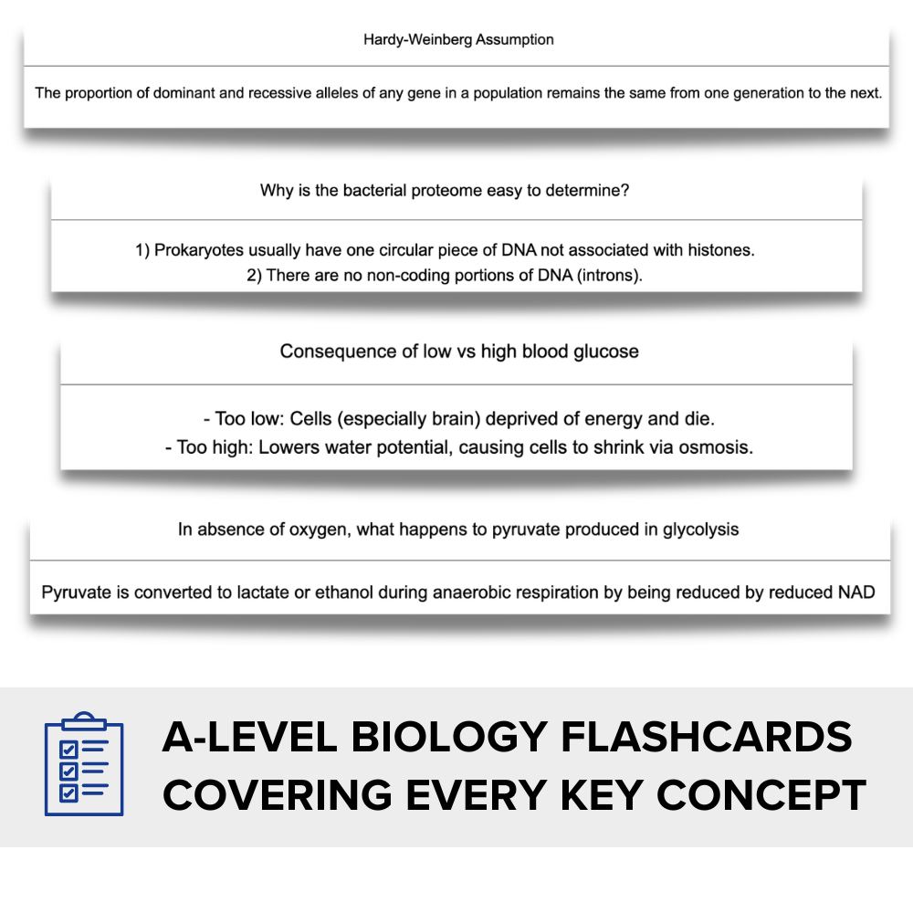 AQA A-level Biology Ultimate Revision Bundle