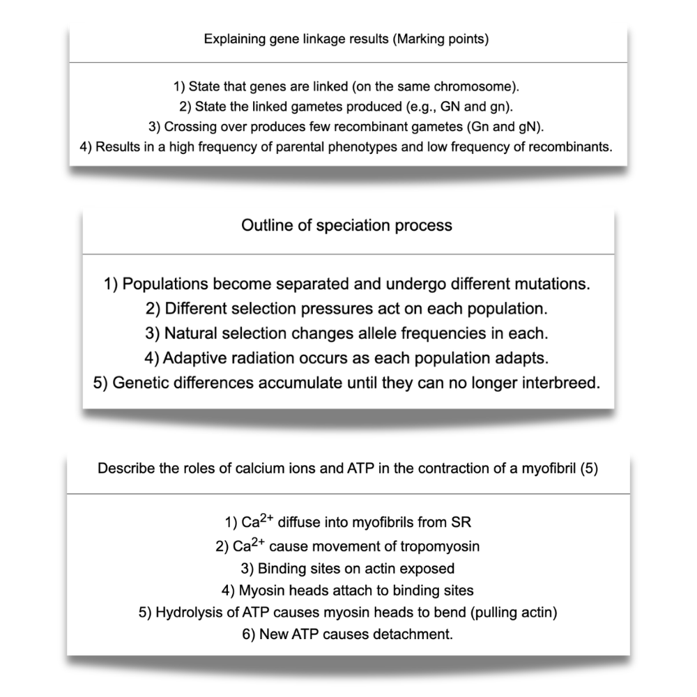 AQA A-level Biology Ultimate Revision Bundle