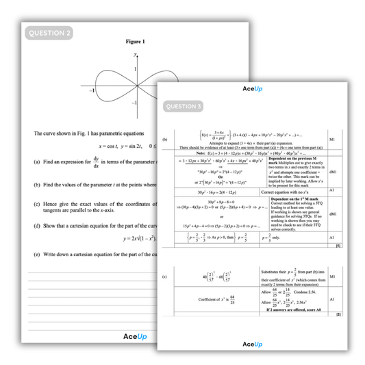 A-Level Edexcel Maths - Aiming for A* Exam Pack (Set A)