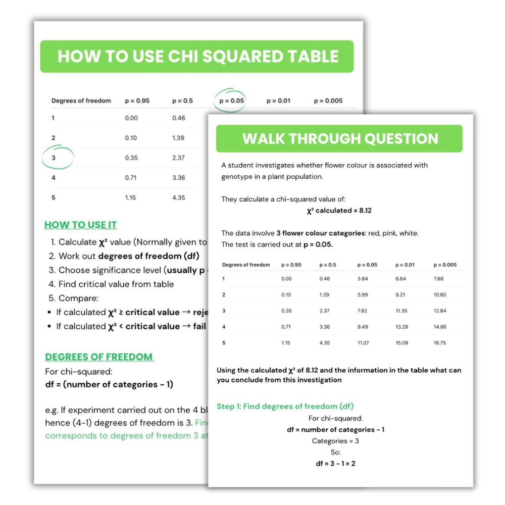AceUp A-level Half Term Bundle