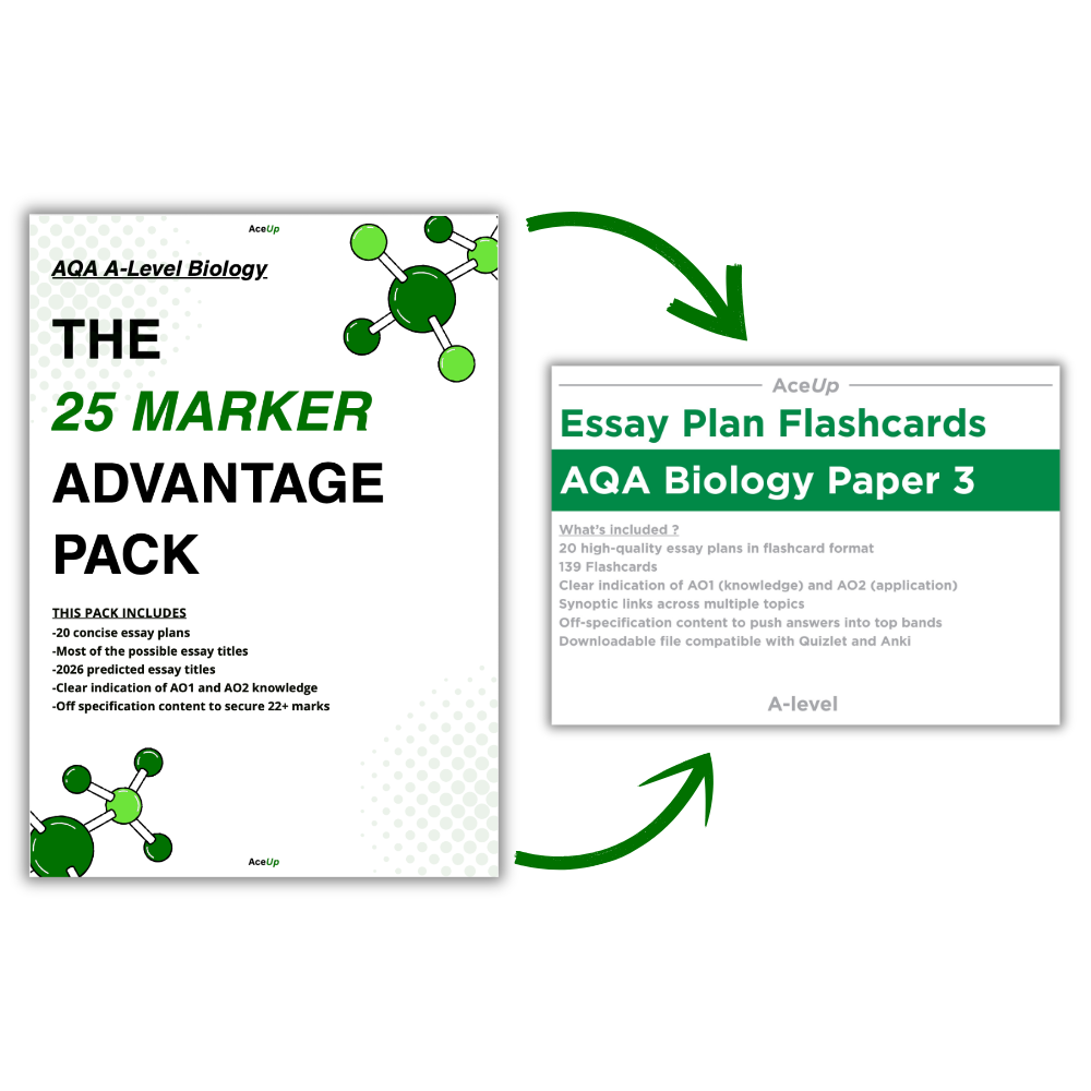 A-Level Biology Ultimate Essay Pack + Flashcards (BUNDLE)